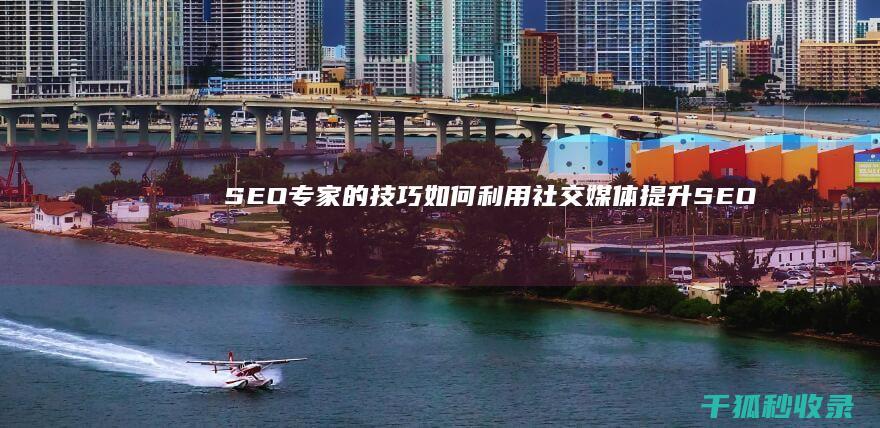 SEO专家的技巧：如何利用社交媒体提升SEO (seo专家是什么意思)